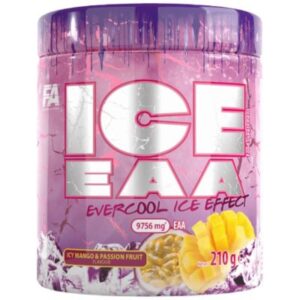 ICE EAA