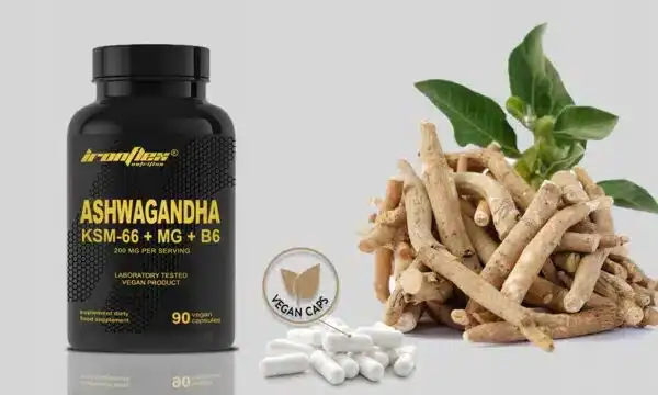 Ashwagandha KSM-66 με Μαγνήσιο & Βιταμίνη B6 | IronFlex | 90 vcaps - Image 4