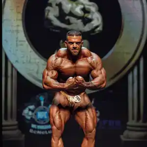 Pantelis Stavroulakis