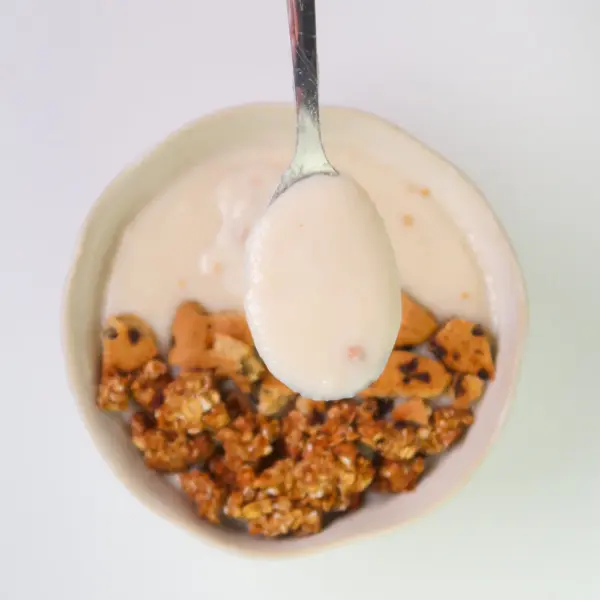 Rice Cream Protella | 500g | ~10 Δόσεις - Image 2